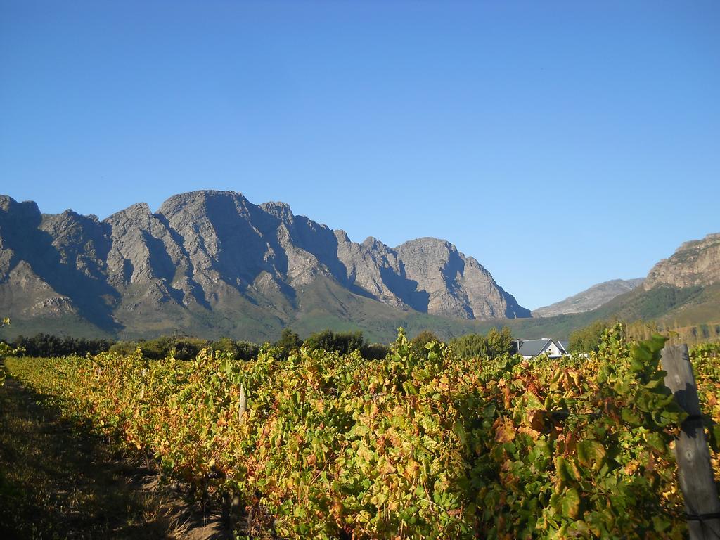 Auberge Clermont Franschhoek Extérieur photo