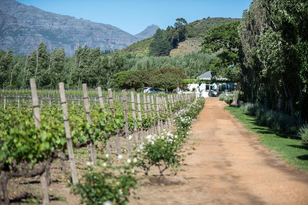 Auberge Clermont Franschhoek Extérieur photo