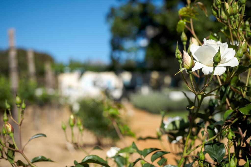 Auberge Clermont Franschhoek Extérieur photo