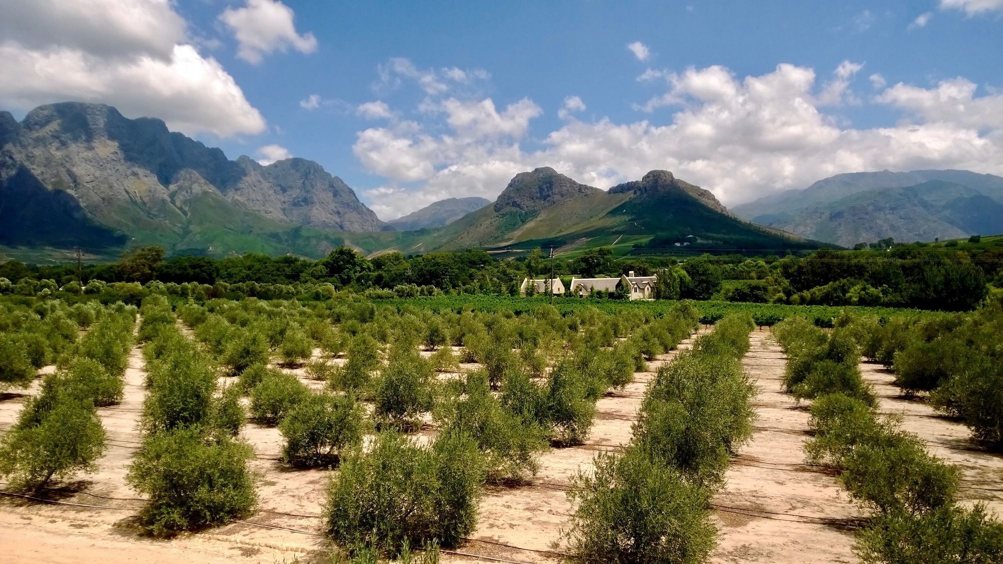 Auberge Clermont Franschhoek Extérieur photo