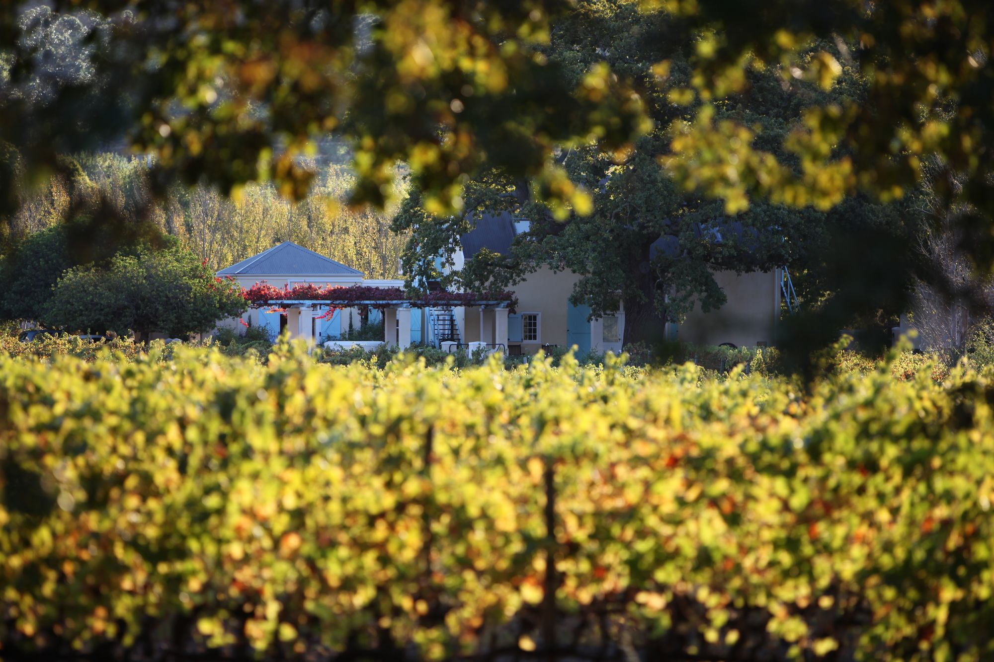 Auberge Clermont Franschhoek Extérieur photo