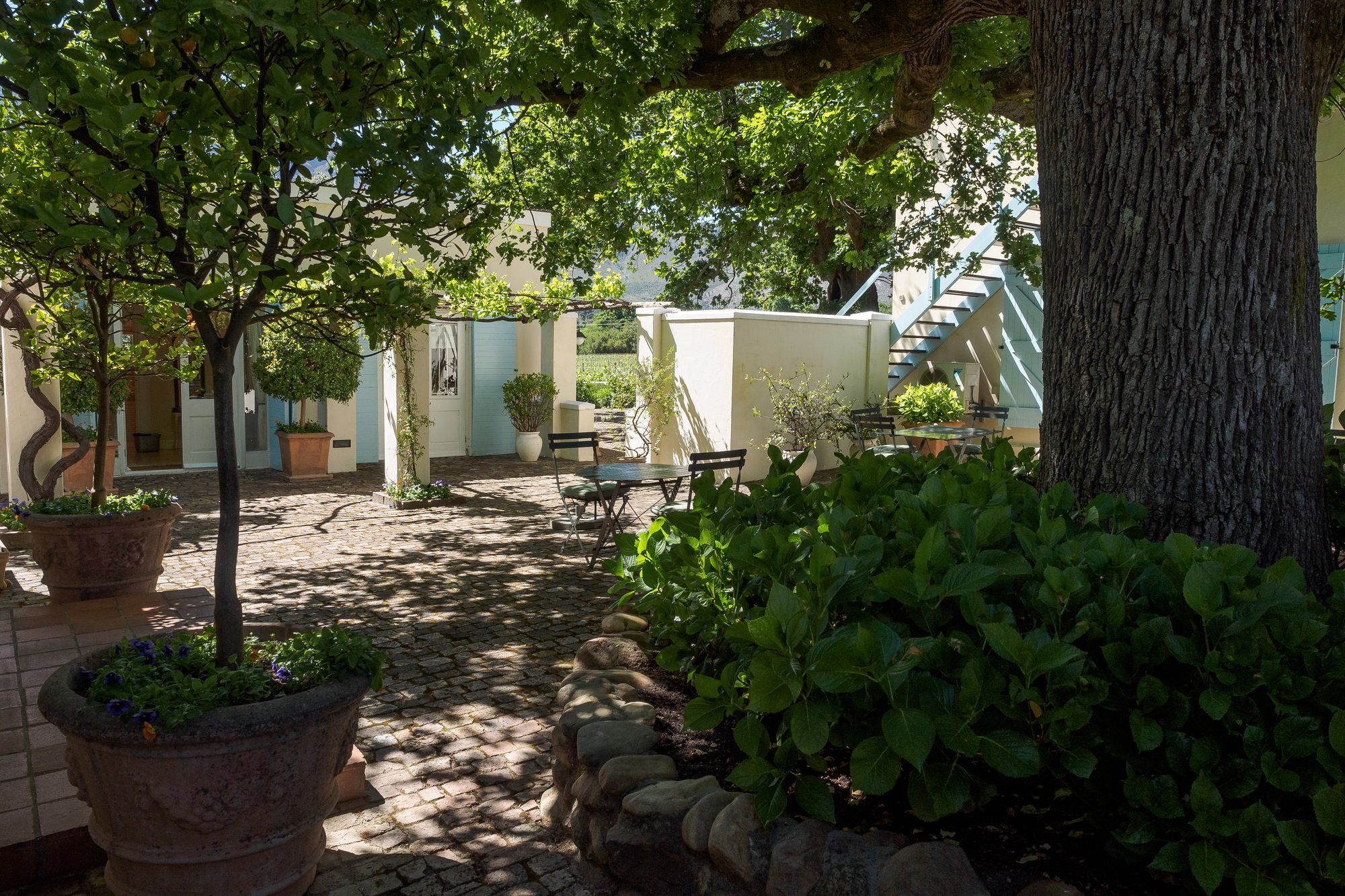 Auberge Clermont Franschhoek Extérieur photo