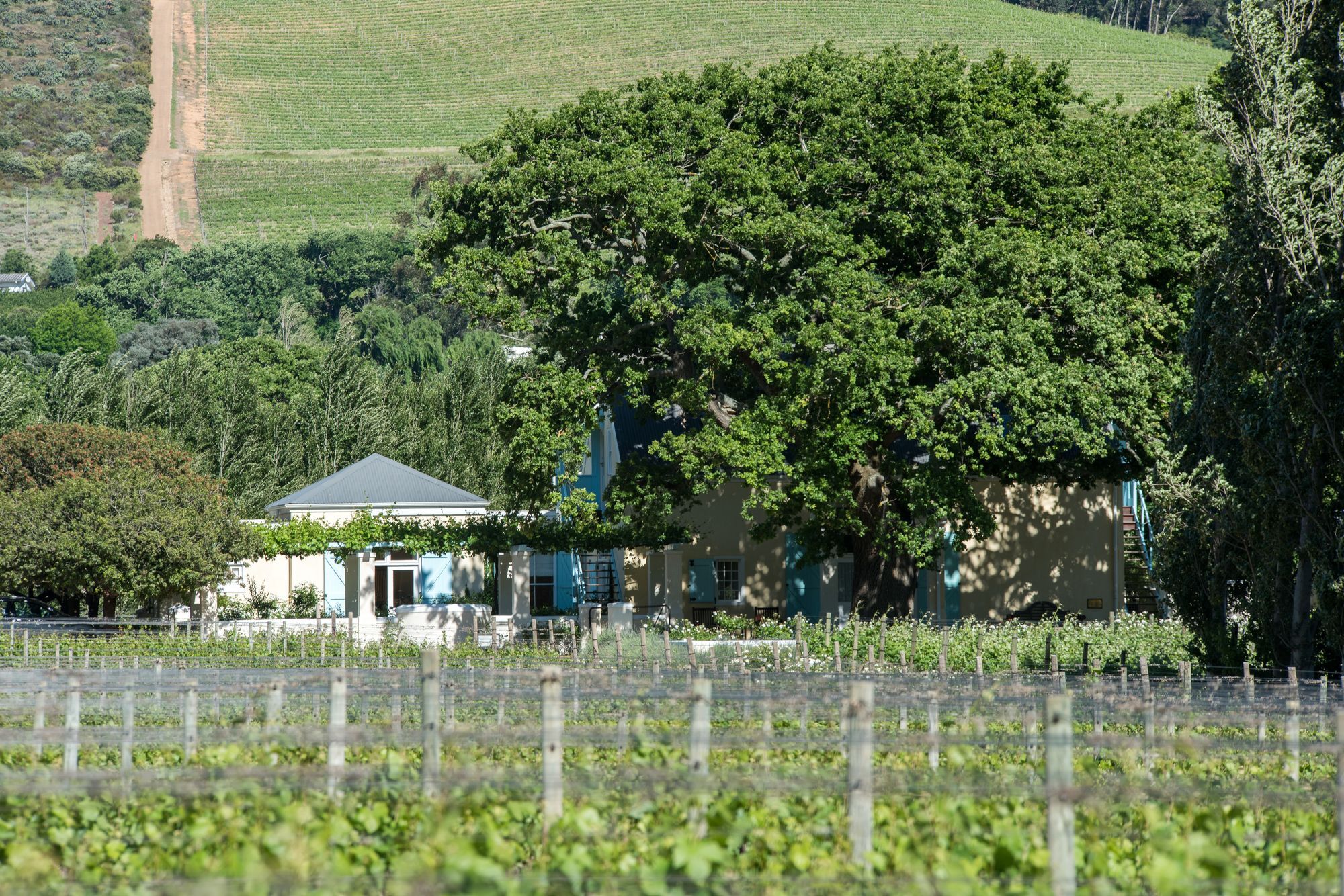 Auberge Clermont Franschhoek Extérieur photo